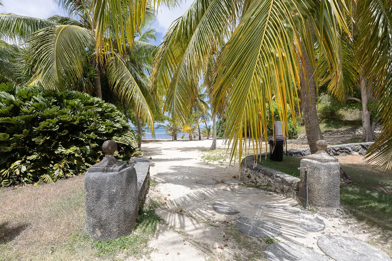 Path beneath palm trees leading straight to the beach
